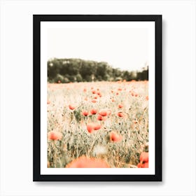Poppy Meadow Art Print