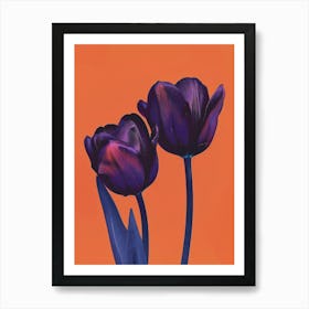 Purple Tulips Art Print