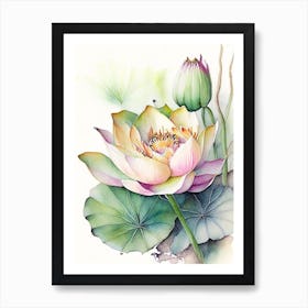 Lotus Flower In Garden Watercolour Ink Pencil 1 Art Print