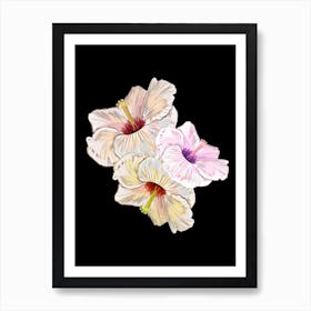 Lovely Hibiscus Dark Art Print