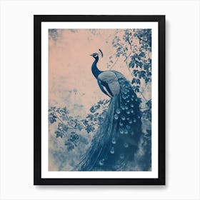 Blue Peacock & Ivory Cyanotype Inspired Art Print