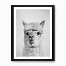 Alpaca   Black & White Art Print