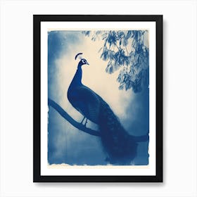 Peacock In The Tree Cyanotype Inspired 4 Art Print