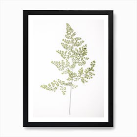 Leaf Study 06 Art Print