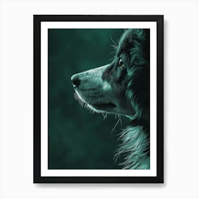 Collie Dog Portrait Art Print