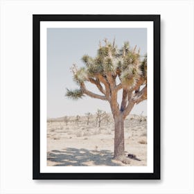 Joshua Tree Art Print