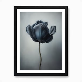 Black Flower 7 Art Print