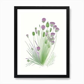 Chives Spices And Herbs Pencil Illustration 2 Art Print