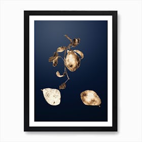Gold Botanical Pear on Midnight Navy n.2932 Art Print