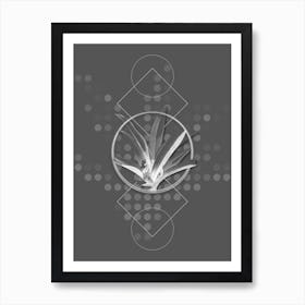 Vintage Boat Lily Botanical with Line Motif and Dot Pattern in Ghost Gray n.0104 Art Print