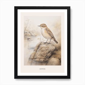 Vintage Bird Drawing Dipper 1 Poster Poster