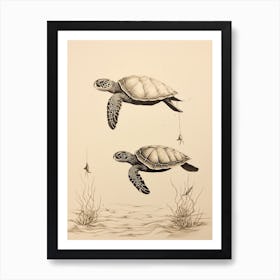Vintage Sepia Sea Turtles Illustration Art Print