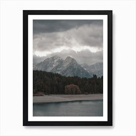 Forest Along Lake Art Print