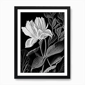 Bloodroot Leaf Linocut 1 Art Print