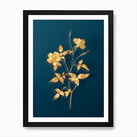 Vintage Indica Stelligera Rose Botanical in Gold on Teal Blue n.0183 Art Print