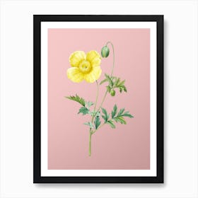 Vintage Welsh Poppy Botanical on Soft Pink n.0146 Art Print