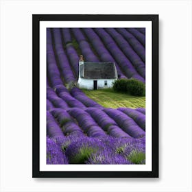 Lavender Fields In France 2 Poster