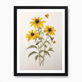 Black Eyed Susans Flower Vintage Botanical 0 Art Print