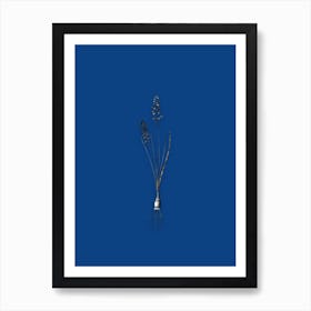 Vintage Autumn Squill Black and White Gold Leaf Floral Art on Midnight Blue n.0672 Art Print