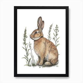 English Lop Blockprint Rabbit Illustration 1 Art Print