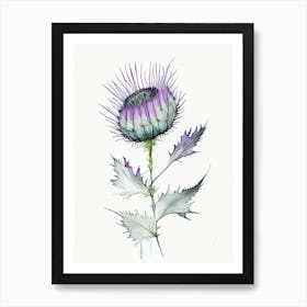 Milk Thistle Herb Minimalist Watercolour 1 Art Print