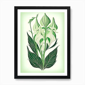 Solomon S Seal Leaf Vintage Botanical Art Print