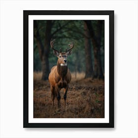 Deer In The Woods Art Print