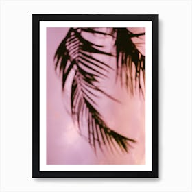 Costa Rica Pink And Purple Palm Art Print