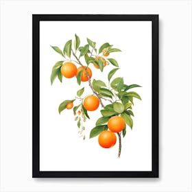 Oranges On A Tree 1 Art Print