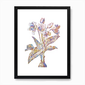 Stained Glass Crinum Giganteum Mosaic Botanical Illustration on White n.0318 Art Print