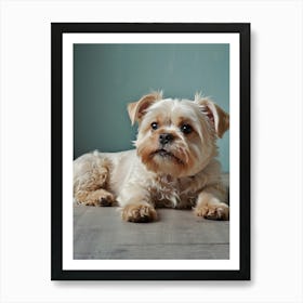 Default Wall Images Of Pets With Faint Colors 1 Art Print