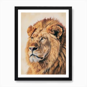 Barbary Lion Portrait Close Up Illustration 1 Art Print