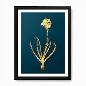 Vintage Arabian Starflower Botanical in Gold on Teal Blue n.0354 Art Print