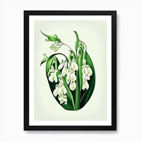 Lily Of The Valley Wildflower Vintage Botanical 2 Art Print