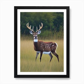 Deer In The Grass Art Print