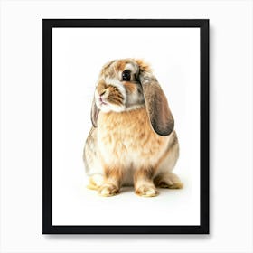 American Fuzzy Rabbit Nursery Illustration 3 Art Print