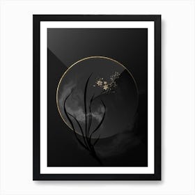 Shadowy Vintage Phalangium Bicolor Botanical in Black and Gold n.0111 Art Print