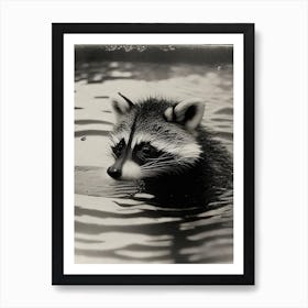 Swimming Raccoon Vintage Photography Art Print