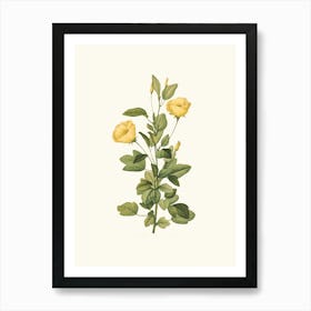 Antique Vintage Flower Illustration - Yellow 2 Art Print