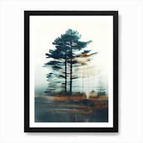 Pine Tree In The Fog Art Print