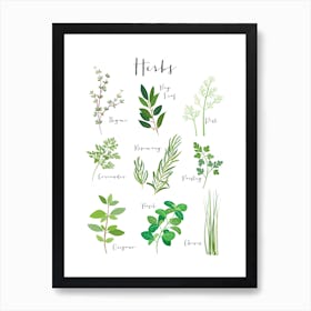 Herbs Art Print