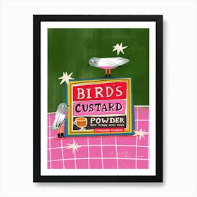 Vintage Food Birds Custard Powder Box 1 Art Print