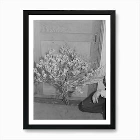 Photograph Appears To Show Guayule Plant, Based On Similarity To Neighboring Images By Russell Lee Art Print