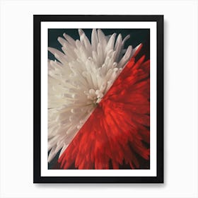 Floral Blossom Art Print