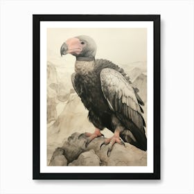 Vintage Bird Drawing California Condor 3 Art Print