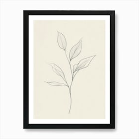 Drawing Of A Leaf 3 Art Print