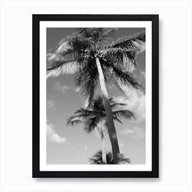 Palms In The Sky Art Print