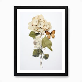 Pressed Flower Botanical Art Hydrangea 3 Art Print