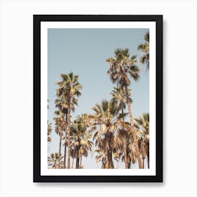 Palm Trees On The Beach 2 Art Print