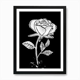 White Rose line drawing on black background 2 Art Print